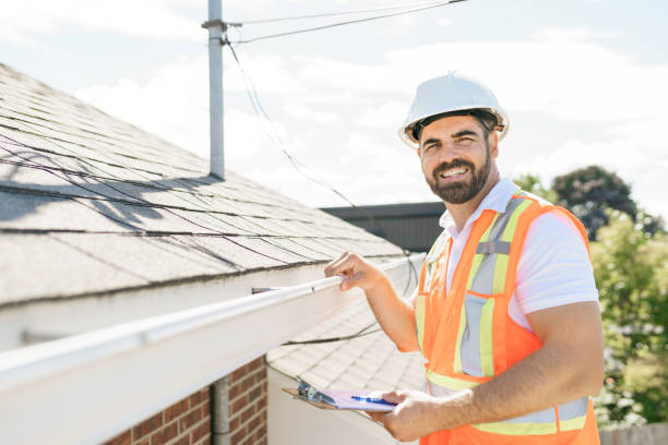 Roof Gutter Cleaning in Lake Park, IA